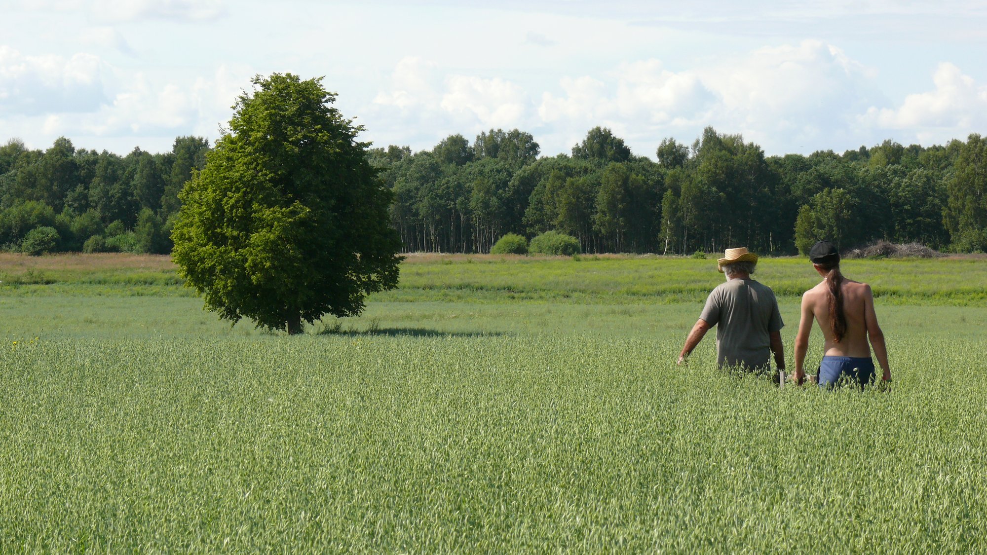 V. Almanis. Ar teko ką nors girdėti apie lietuviškus molio lygumų ...