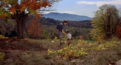 Filmas „Nemalonumai su Hariu“