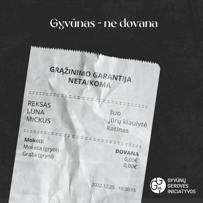 Gyvūnas nėra dovana