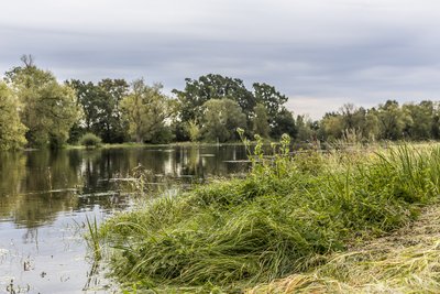 Apsemtas Panevėžio rajonas