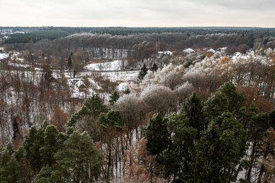 Apšarmojęs Vilnius pasitinka žiemą