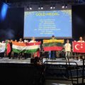 Į Lietuvą atkeliauja medaliai: moksleiviai sužibėjo pasaulinėje matematikos olimpiadoje