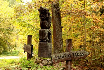 Trako miško gamtos pažinimo takas