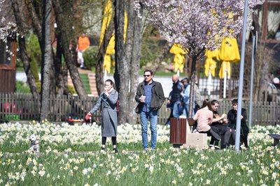 Druskininkai: pažadink savyje Narcizą!