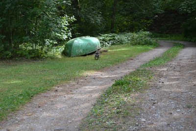 Meškėnas Kuršių nerijoje / Kuršių nerijos gyventojų nuotr. 