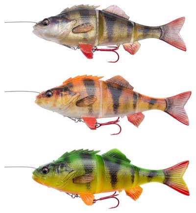 4D Perch Shad sistemėlės