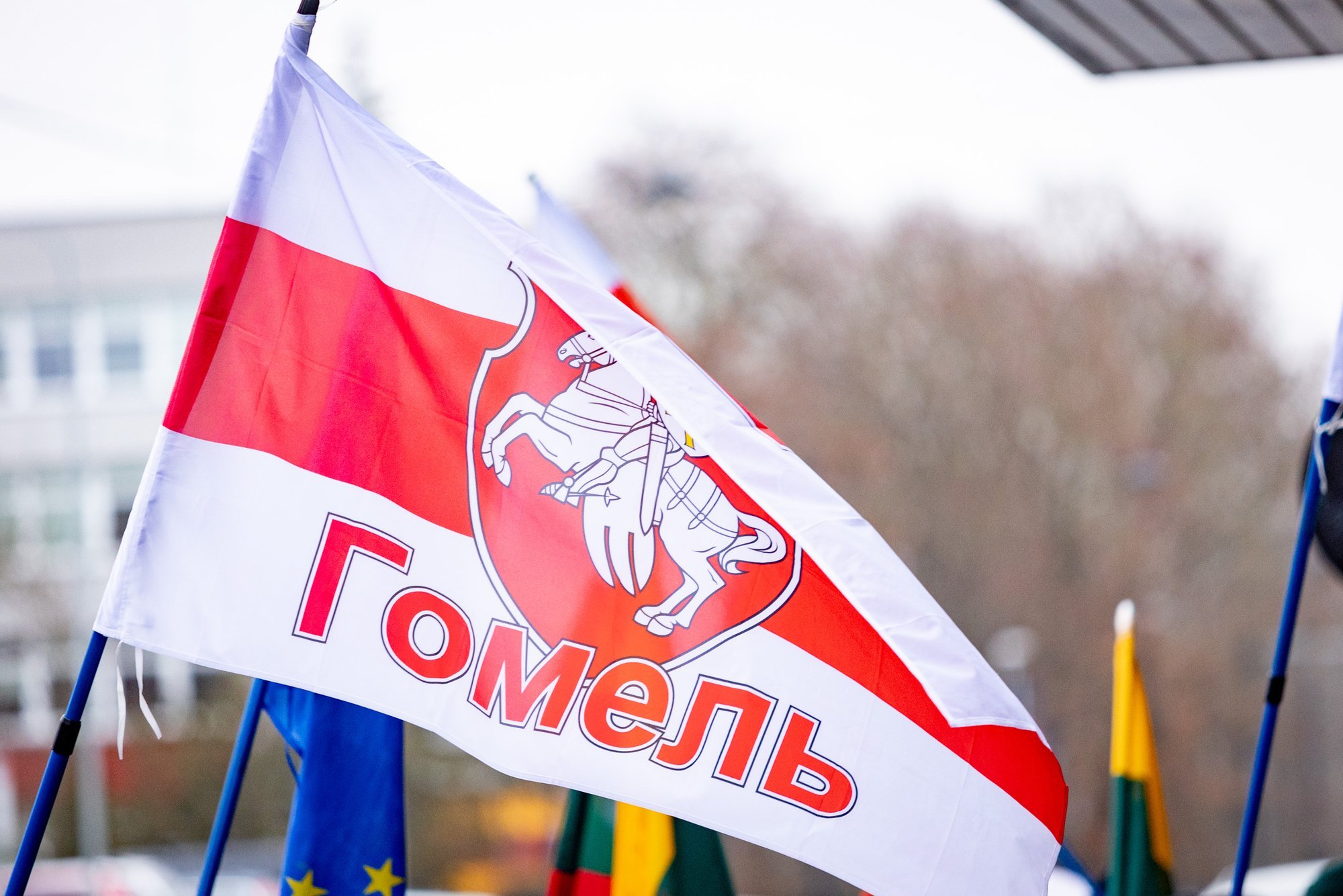 Lithuanian Government Vows to Pressure Belarus on Political Prisoners and Security