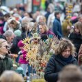 Aplink Vilniaus Katedrą – žalia žalia: minimas Verbų sekmadienis
