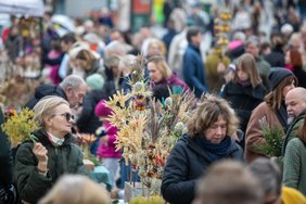 Aplink Vilniaus Katedrą – žalia žalia: minimas Verbų sekmadienis