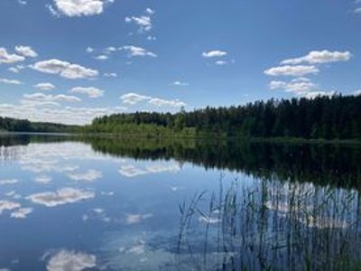 Šimonių giria Aukštaitijos saugomų teritorijų direkcijos nuotr.