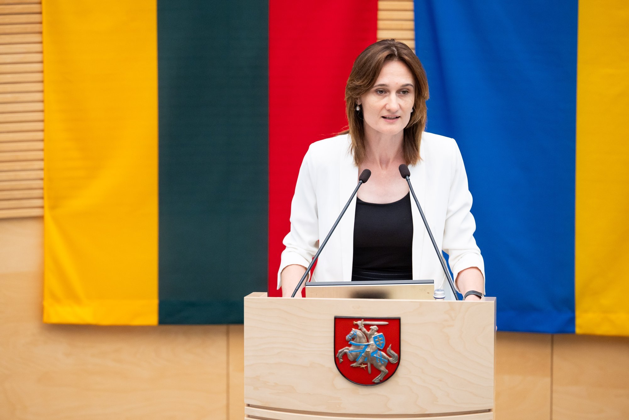 Čmilytė-Nielsen: Social Democrats treat voters as sheep with Baranovas' candidacy