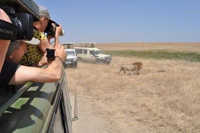 Rūtos Mikelkevičiūtės kelionės po Tanzaniją įspūdžiai