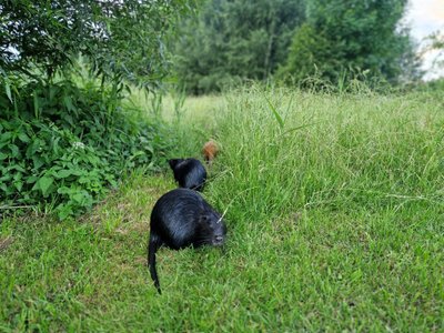 Nutrijos Skaitytojų nuotr.