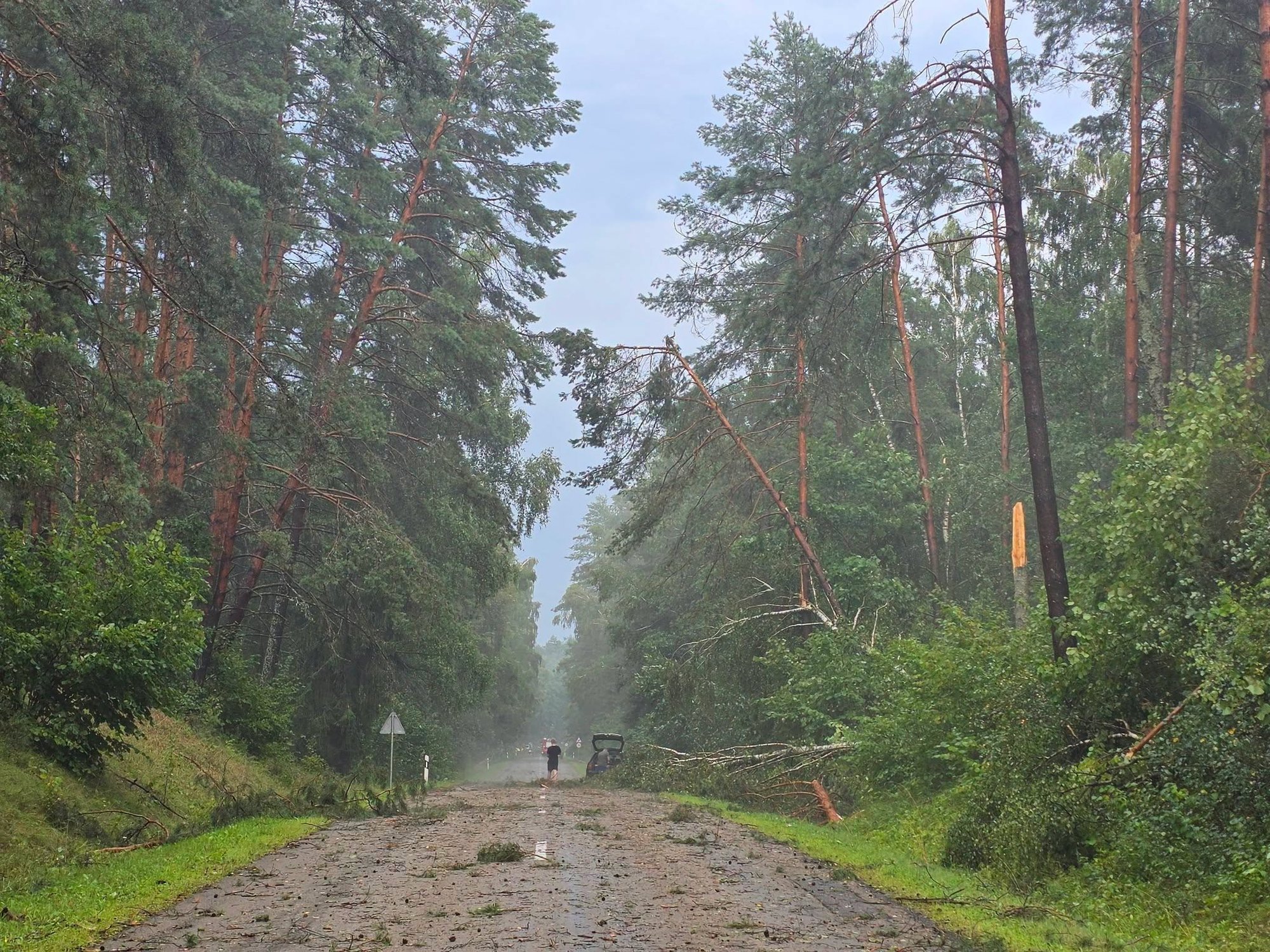 Storm Fells Trees, Cuts Power in Southern Lithuania