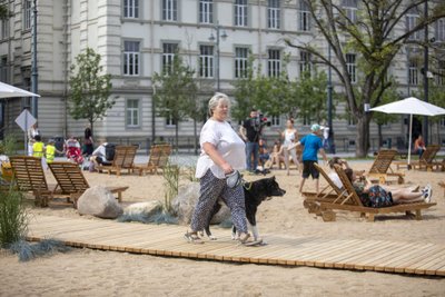 Lukiškių aikštėje įrengtas paplūdimys