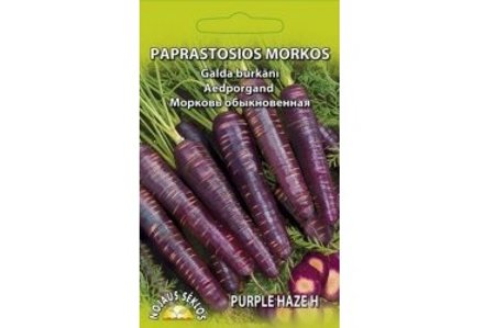 Paprastosios morkos Purple Haze H