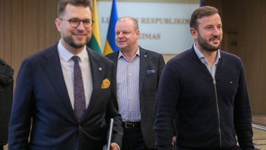 Board of Democrats For Lithuania sets conditions for potential coalition partners