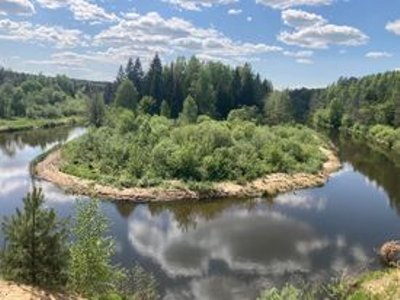 Šimonių giria Aukštaitijos saugomų teritorijų direkcijos nuotr.