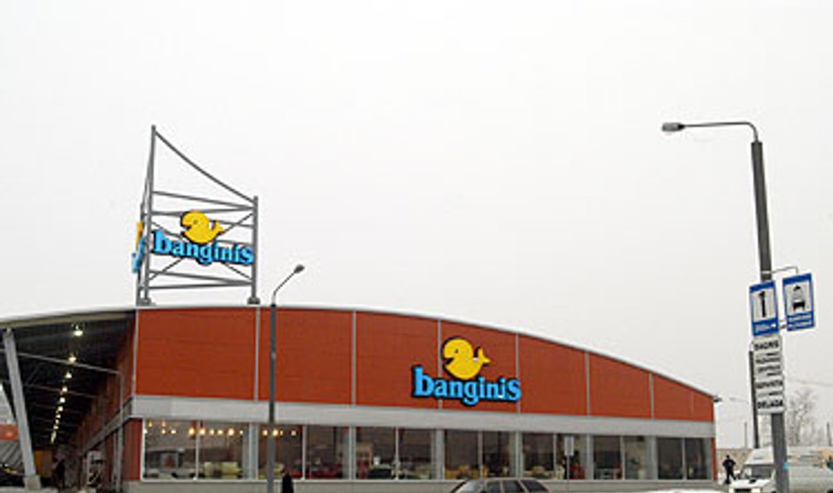 Banginis