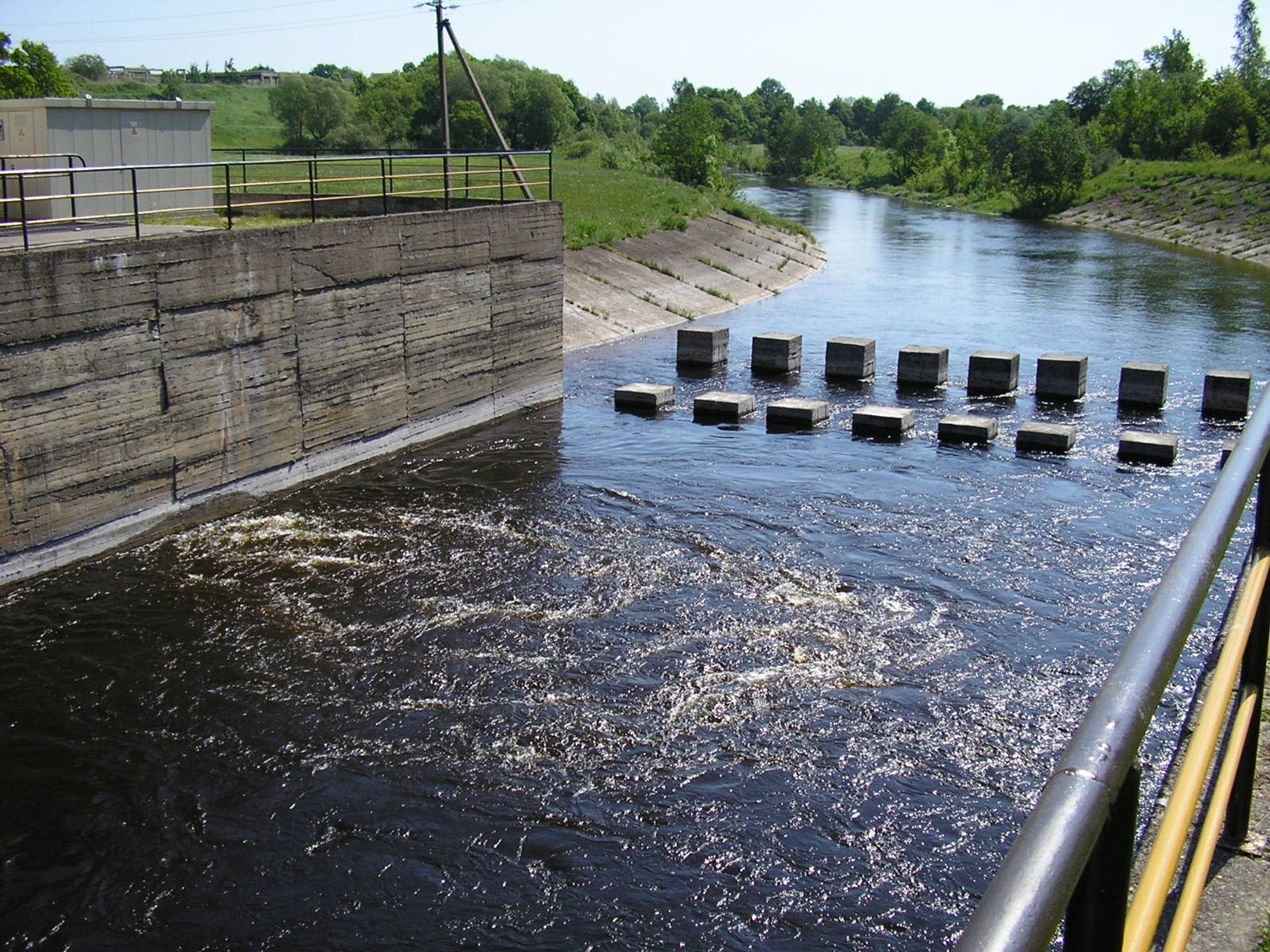Lithuanian Hydropower Plants Seek Profitability Amidst Environmental Hurdles
