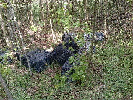 Vokiečių aviganei įspyręs kontrabandininkas sulaukė keturkojės atsako dantimis