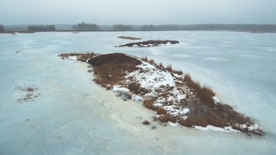 Gamtotvarkiniai darbai Novaraisčio ornitologiniame draustinyje