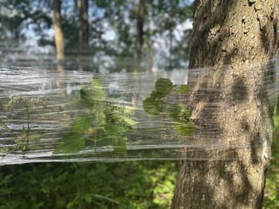 Nuotraukos iš Linos Rutkauskaitės asmeninio archyvo