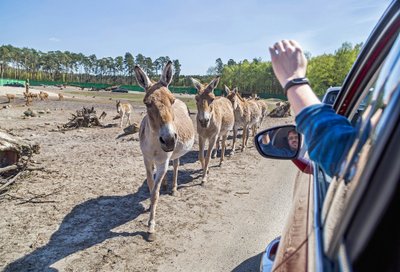 Serengečio parkas