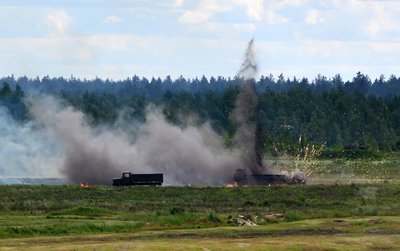 Taikinių naikinimas