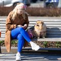 Холода ушли: в воскресенье воздух прогреется до 17 градусов тепла