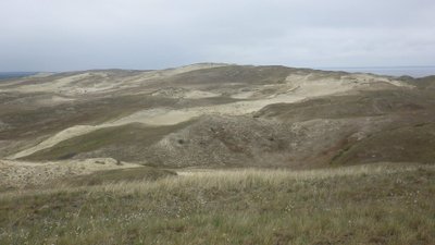 Pilkųjų kopų šlaitų kaita Didžiajame kopagubryje