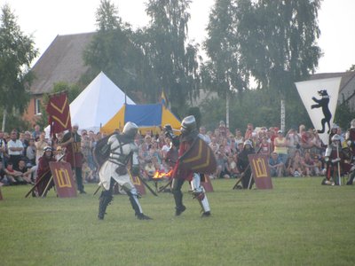 Festivalis "Naisių vasara", DELFI skaitytojos Ilonos nuotr.