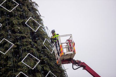 Vilniuje puošiama pagrindinėsostinės kalėdinė eglė