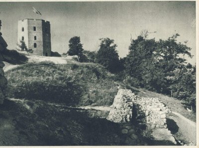 S. Šîmanskio nuotrauka, 1957 metai (miestai.net). Į ką čia būtina atkreipti dėmesį – šlaitas dešinėje nuo bokšto (ta vieta, kur dabar ir vyksta slinkimas). Jis nuožulnus, aikštelė prie bokšto matosi besanti daug mažesnė ir žemesnė, negu dabar. Dargi tiek žemesnė ir mažesnė, kad vaizdas banaliai nei neprimena dabartinio – atrodo, lyg būtų koks kitas kalnas.