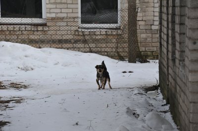 Viktoro Stasiūno gyvenamoji vieta