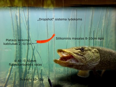 „Dropshot“ sistema lydekoms