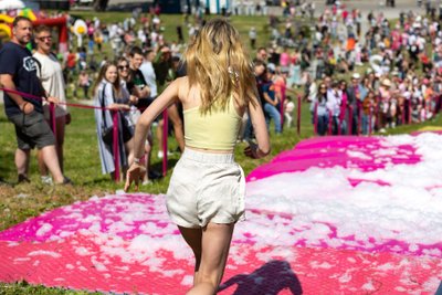 Vilniaus Šaltibarščių festivalis