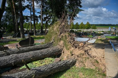 Audros nusiaubtos Šilaičių kapinės