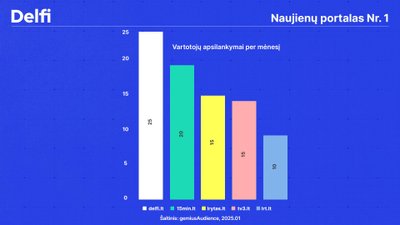 Vartotojų apsilankymai per mėnesį