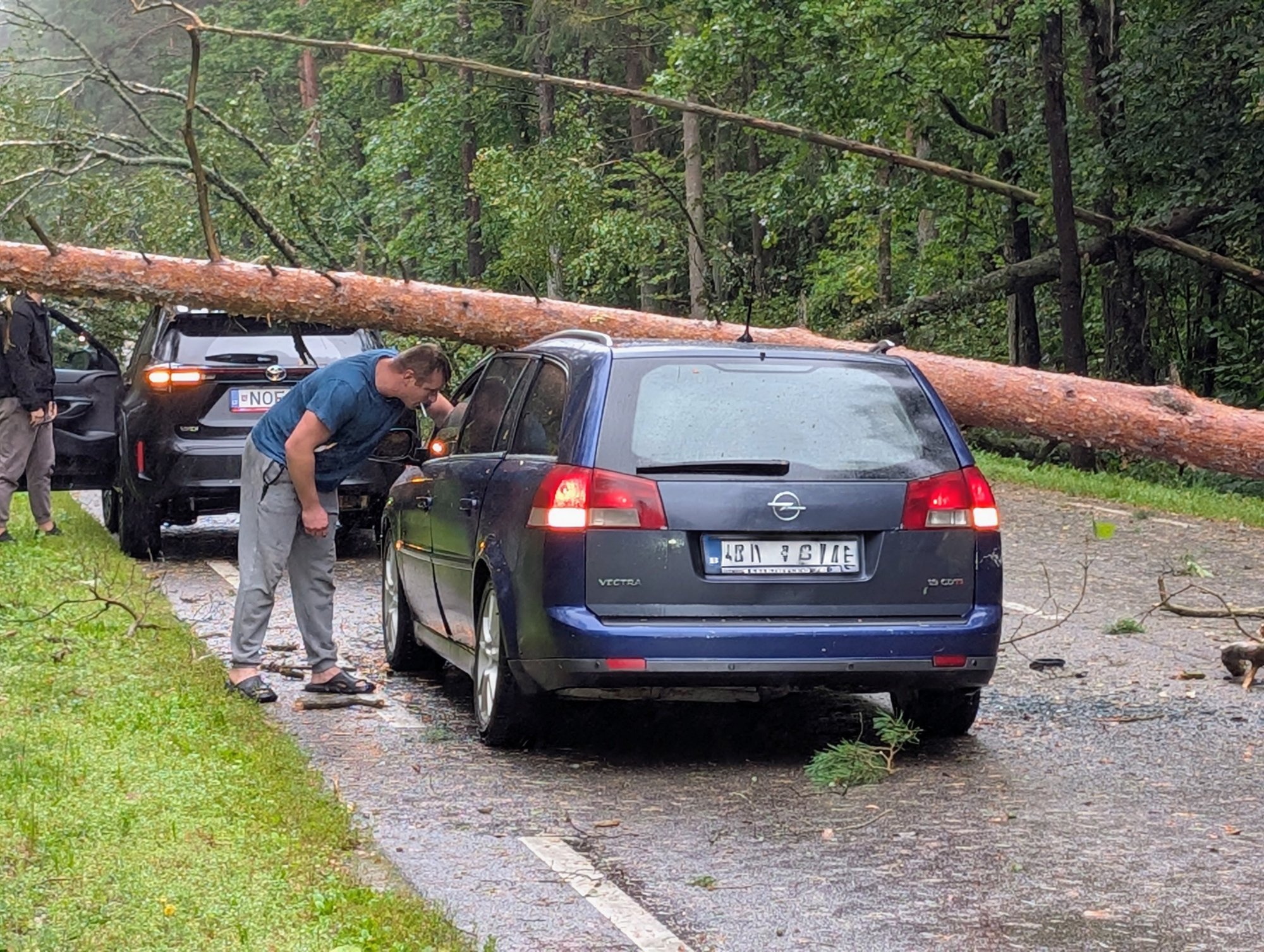 Storm in Lithuania: Residents Clear Fallen Trees Themselves, Awaiting Services