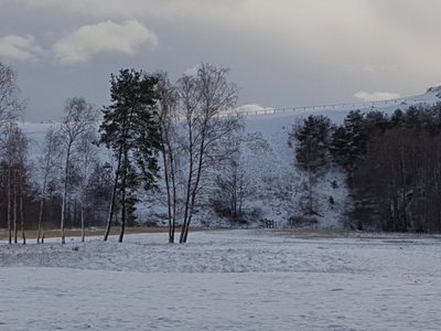 Žiema Kuršių nerijos nacionaliniame parke