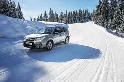 "Subaru Forester"