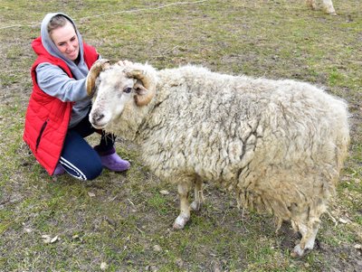 Skaistės Svid­raitės prieglauda