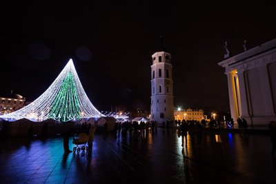 Vilnius, 2016 m. lapkričio 26 d. (ELTA). Sostinėje įžiebta pagrindinė Kalėdų eglė. Martyno Ambrazo (ELTA) nuotr.