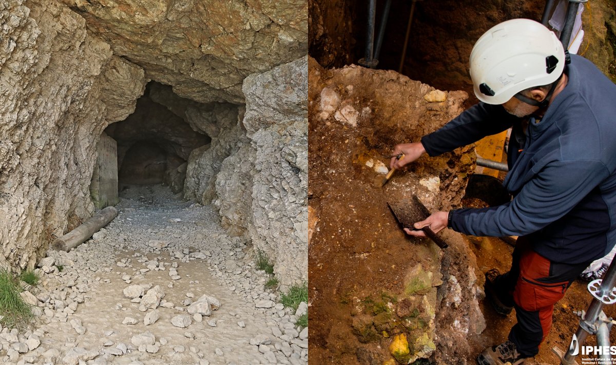 Rasti palaikai yra 1,1–1,4 mln. metų senumo ir, kaip manoma, priklauso rūšiai, artimai primityvesniam Homo erectus.