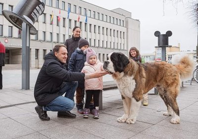 Senbernarų susitikimas, Alytaus klubo „Canis“ nuotr.