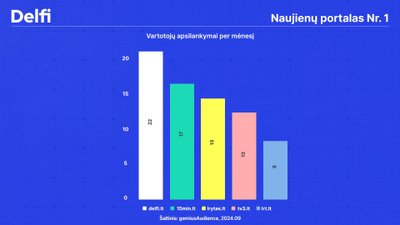 Vartotojų apsilankymai per mėnesį