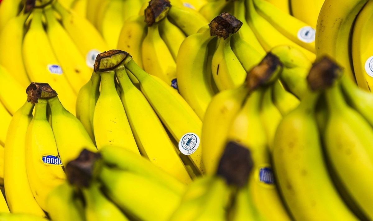 Lidl asortimente - Rainforest Alliance sertifikuoti bananai