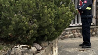 Skandalas Telšiuose: tarybos narė metų metus be leidimo naudojosi valstybine žeme