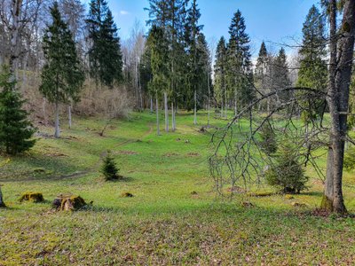 Mošos archeologinis draustinis